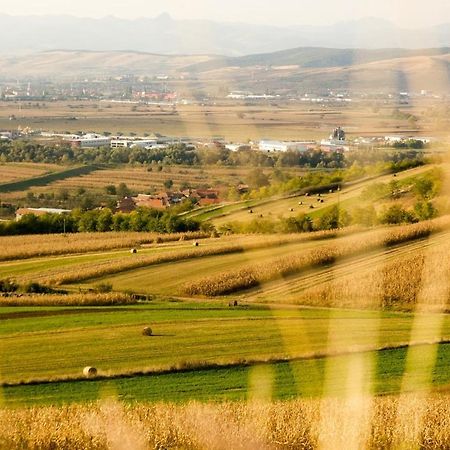 Pensiunea Casa Din VII Seusa Εξωτερικό φωτογραφία